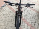 IMG_1460.jpeg