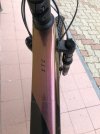 IMG_1441.jpeg