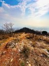 IMG_4443.jpeg