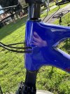 IMG_4063.jpeg