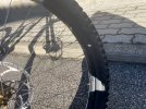 IMG_0552.jpeg