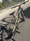 IMG_0549.jpeg