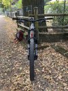 IMG_2779.jpeg