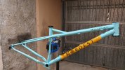 Telaio nordest bardino V2 2020