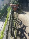 IMG_1838.jpeg