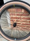 IMG_9065.jpeg