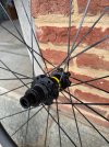 IMG_9066.jpeg