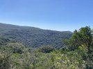 IMG_3065.jpeg