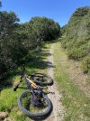 IMG_3066.jpeg