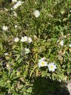 IMG_3068.jpeg