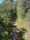 IMG_3069.jpeg