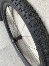 IMG_0364.jpeg