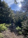 IMG_3529.jpeg