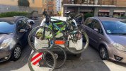 IMG_2326.jpeg
