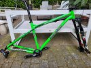 Transition TransAM 29 tg L