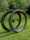 Ruote complete DT SWISS FR 541 (29") Nuove