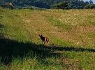 IMG_20240527_175110~2.jpg