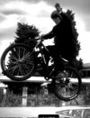 IMG_2080.jpeg