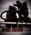 IMG_2081.jpeg