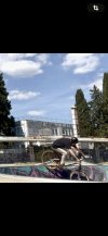 IMG_3940.jpeg