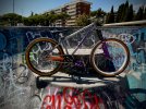 IMG_3930.jpeg