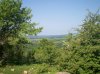 100_0246.jpg