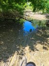 IMG_20240616_154340.jpg