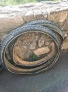 gomme mountain bike pirelli schwalbe 29"