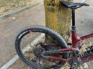 IMG_3539.jpeg