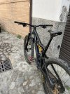 IMG_9497.jpeg