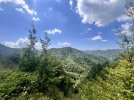 IMG_8754.JPEG