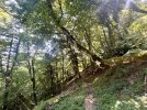 IMG_8943.JPEG