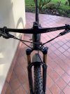 IMG_2865.jpeg