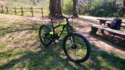 GT force x carbon pro