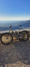 YT JEFFSY CF PRO RACE 29" 2018