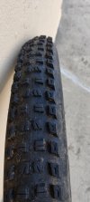 IMG_budger 1.jpg