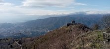 IMG_20250119_131631.jpg