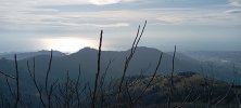IMG_20250119_131622.jpg