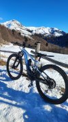 Giant Trance X E+1 29 pro