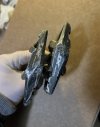 shimano2.jpg