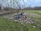 IMG_8452.jpeg