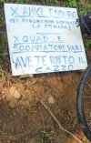 Amici enduro.jpg