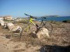 Salamandra0529.jpg