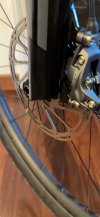 IMG_1583.jpeg