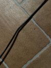 IMG_8101.jpeg