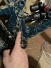 IMG_8100.jpeg