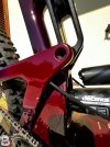 IMG_1447___optimized-bike-ad-images_800_1067.jpg