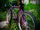 WP_20160613_19_52_00_Pro.jpeg