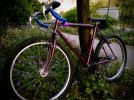 WP_20160613_19_51_45_Pro.jpeg
