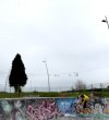 IMG_5594.jpeg